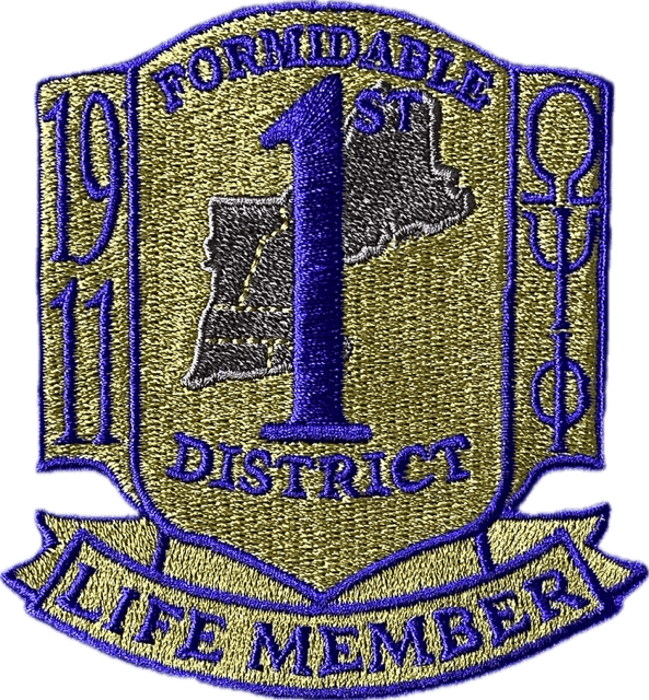 Omega Psi Phi DST Life Member CAMO - Image 3